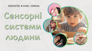 Сенсорні системи людини. 8 клас НУШ