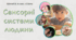 Сенсорні системи людини. 8 клас НУШ