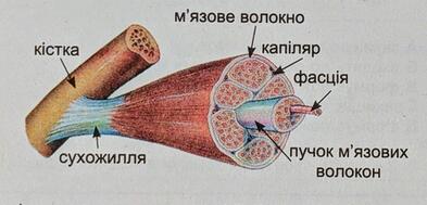 0900dwqn-7d4d-450x216.jpg