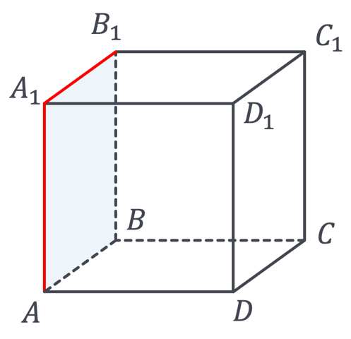 0900e9m6-fb60-497x480.png