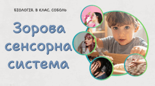 Зорова сенсорна система. 8 клас НУШ