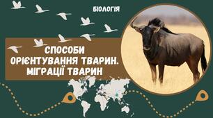 Презентація. Міграції тварин. Способи орієнтації тварин.