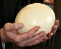 0900ee08-9793-203x162.png