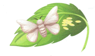 0900efwe-435e-188x111.png