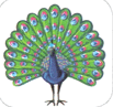 0900eg12-30d9-103x97.png
