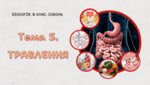 Тема 5. ТРАВЛЕННЯ