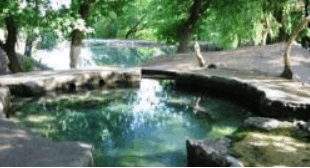 0900ego3-385b-310x168.png