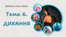 Тема 6. ДИХАННЯ