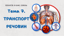 Тема 7. ТРАНСПОРТ РЕЧОВИН 