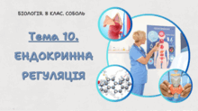 Тема 10. ЕНДОКРИННА РЕГУЛЯЦІЯ