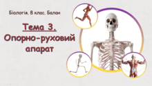 Тема 3. Опорно-руховий апарат. Біологія. 8 клас. Балан