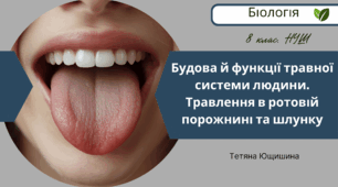 Будова й функції травної системи людини. Травлення в ротовій порожнині та шлунку. 8 клас. НУШ