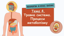 Тема 4. Травна система. Процеси метаболізму. Біологія. 8 клас. Балан