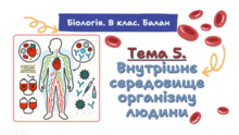 Тема 5. Внутрішнє середовище організму людини. Біологія. 8 клас. Балан