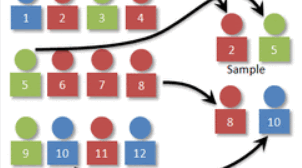 Експрес-тест. Вибірка