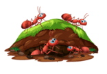 0900elww-2145-156x108.png