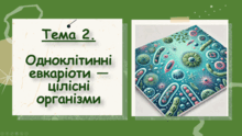 Тема 2. Одноклітинні евкаріоти — цілісні організми. Біологія. 7 клас. Балан