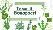 Тема 3. Водорості. Біологія. 7 клас. Балан