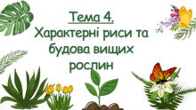 Тема 4. Характерні риси та будова вищих рослин. Біологія. 7 клас. Балан