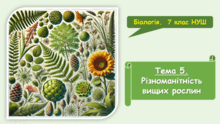 Тема 5. Різноманітність вищих рослин. Біологія. 7 клас. Балан