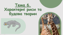 Тема 6. Характерні риси та будова тварин. Біологія. 7 клас. Балан