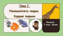 Тема 7. Різноманітність тварин. Хордові тварини. Біологія. 7 клас. Балан