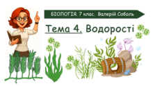 Тема 4. Водорості. Біологія. 7 клас. Соболь