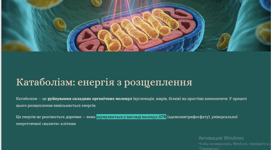 0900evha-7a8d-940x521.png