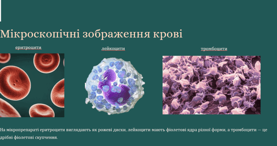 0900evkm-61ed-940x497.png