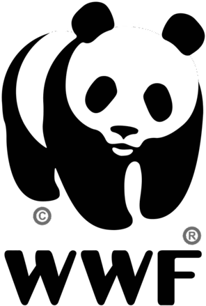 0900evuh-28c9-351x521.png