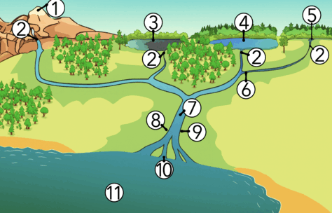 0900evvy-84f3-474x304.png