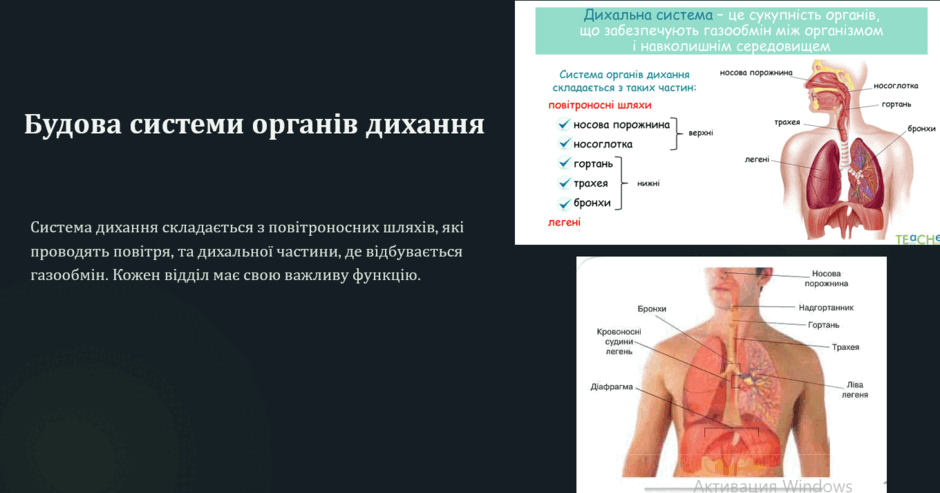 0900ewdx-fa5a-940x493.png