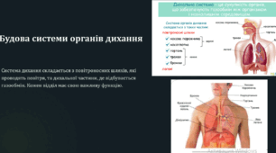 Значення газообміну. Система органів дихання. Дихальні рухи