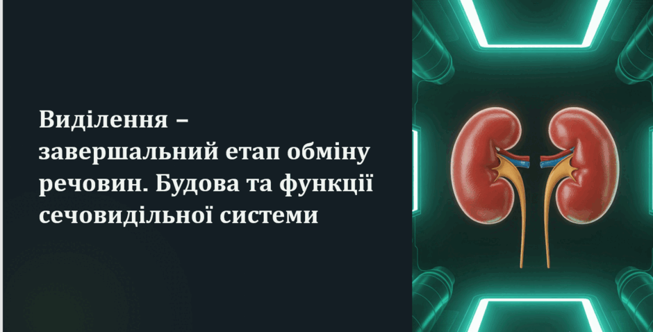 0900ewsv-2027-940x478.png