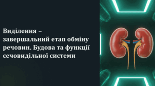 Виділення – завершальний етап обміну речовин. Будова та функції сечовидільної системи