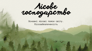 Презентація з географії для 9 класу на тему: «Лісове господарство»
