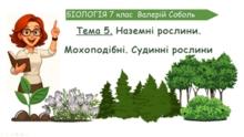 Тема 5. Наземні рослини. Мохоподібні. Судинні рослини. Біологія. 7 клас. Соболь