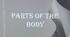 Презентація для  уроку англійської мови на тему:  "Parts of the Body"