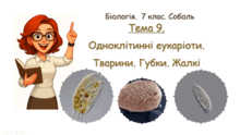 Тема 9. Одноклітинні еукаріоти. Тварини. Губки. Жалкі. Біологія. 7 клас. Соболь