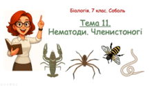 Тема 11. Нематоди. Членистоногі. Біологія. 7 клас. Соболь