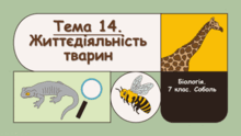 Тема 14. Життєдіяльність тварин