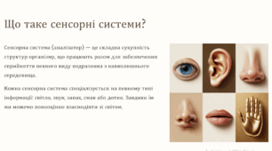 Характеристика сенсорних систем (аналізаторів), їхня будова. Загальний принцип роботи сенсорних систем