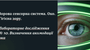Зорова сенсорна система. Око. Гігієна зору.  Лабораторне дослідження  № 10. Визначення акомодації ока
