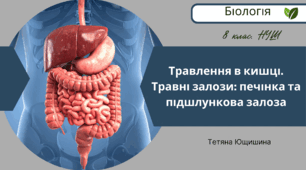 Травлення в кишці. Травні залози: печінка та підшлункова залоза. 8 клас. НУШ