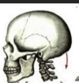 0900f84s-de5d-162x171.png