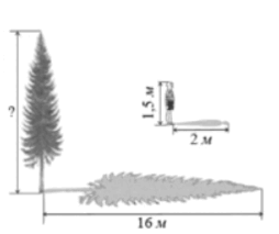 0900f98o-ca62-143x120.png