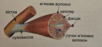 0900fala-5222-327x151.jpg