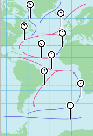 0900fanj-7518-322x473.png