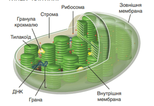 0900fbyx-f059-569x390.png
