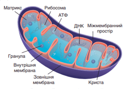 0900fbz3-e73b-520x361.png